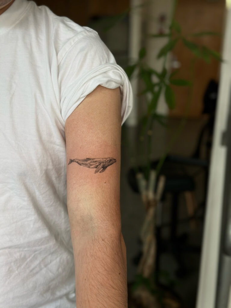 whale tattoo